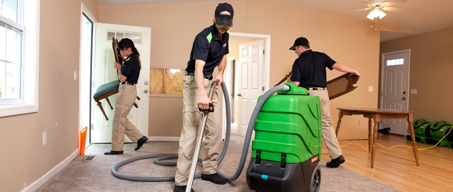 Bellaire, TX cleaning services
